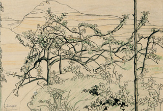 Cremolino, 1920 circa