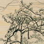 Cremolino, 1920 circa